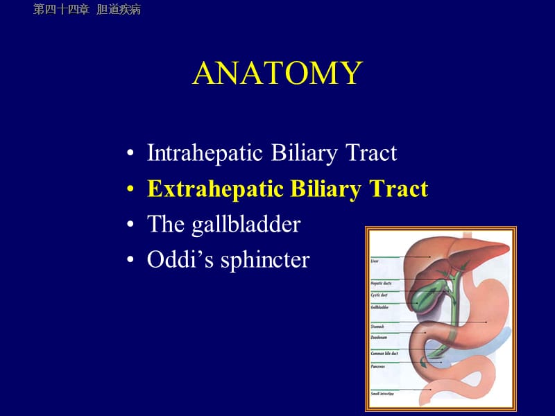 胆道疾病刘斌双语幻灯.ppt_第2页