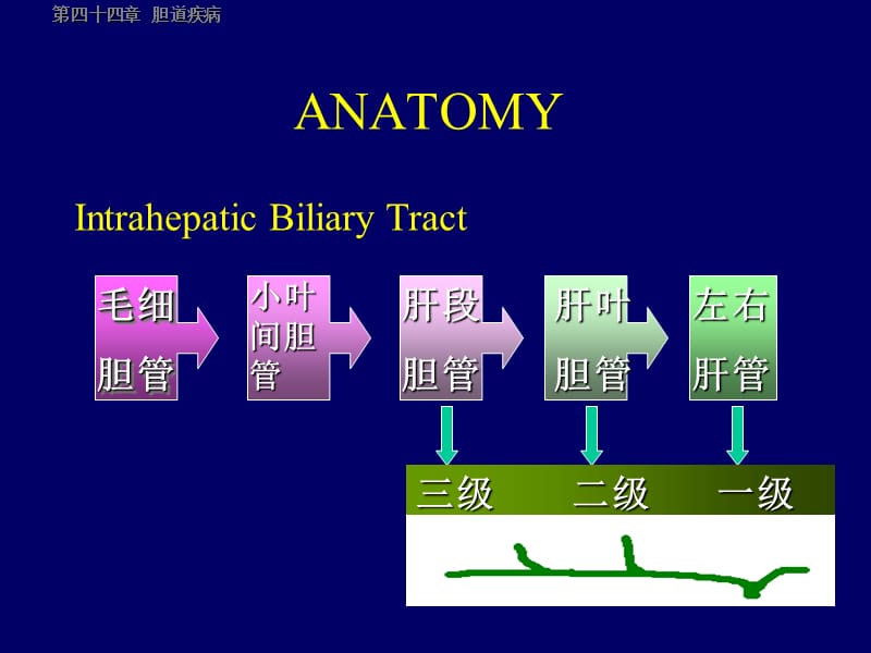 胆道疾病刘斌双语幻灯.ppt_第3页