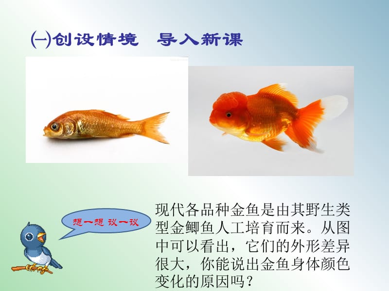 八年级生物下册 第七单元 第二章 第五节 生物的变异课件 新人教版.ppt_第2页