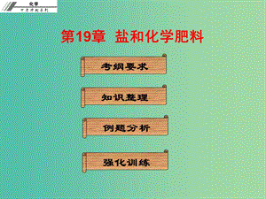 中考化學(xué)沖刺復(fù)習(xí) 第19章 鹽和化學(xué)肥料課件 新人教版.ppt