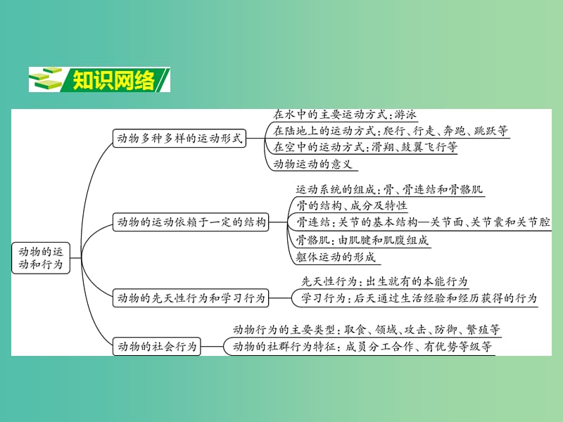 中考生物 第二部分 重点专题突破 专题六 动物的运动和行为复习课件 济南版.ppt_第2页