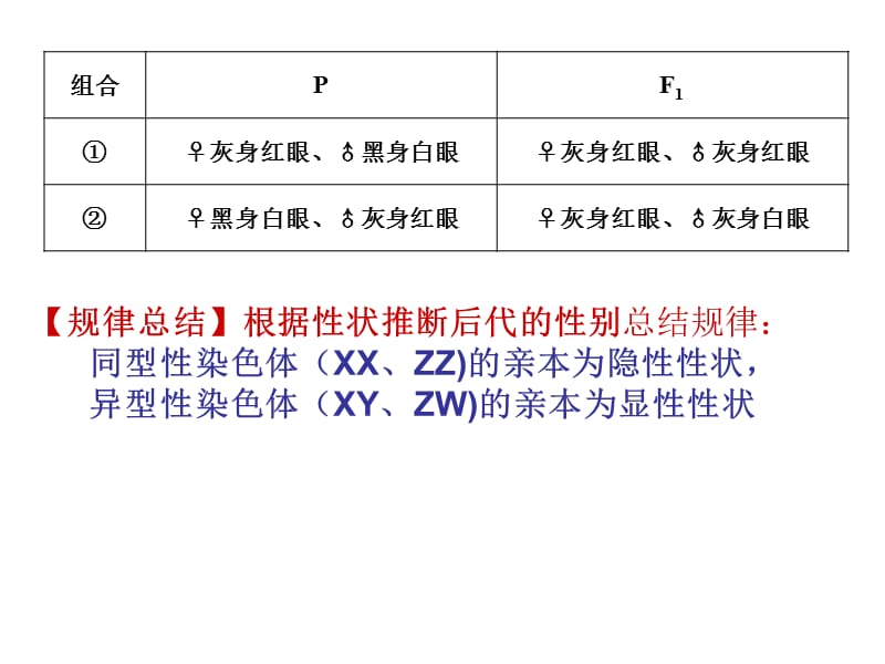 伴性遗传复习课件.ppt_第3页