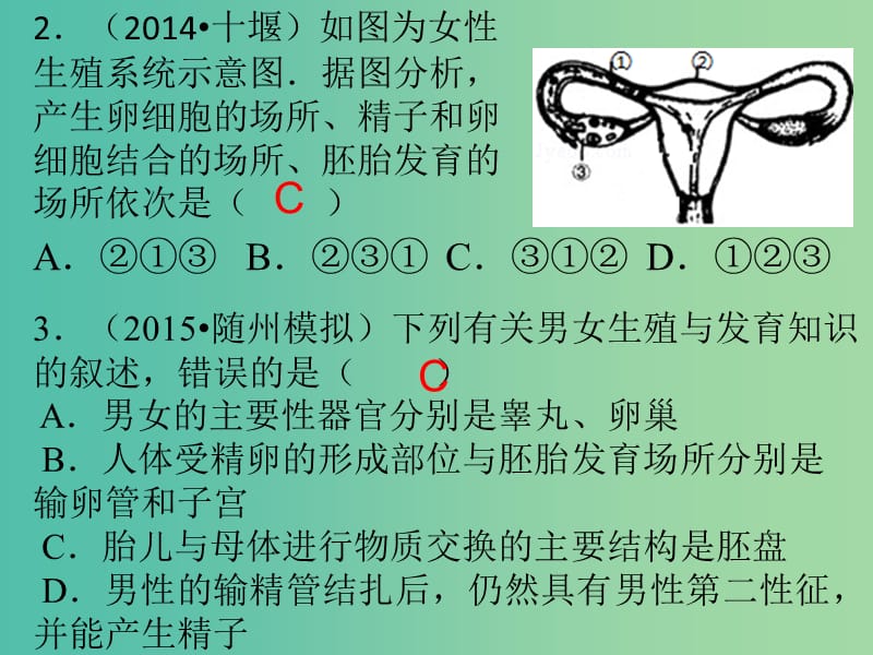 中考生物 考前冲刺专题特训六 生物圈中的人课件（考点突破+课堂检测+课后巩固） 新人教版.ppt_第3页