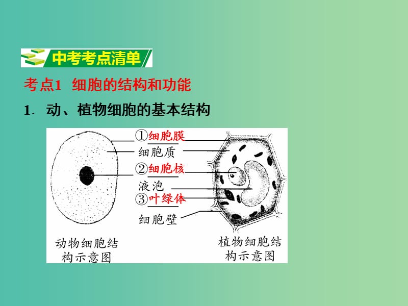 中考生物 第一部分 教材知识梳理 第一单元 第二章 观察生物结构复习课件 济南版.ppt_第3页