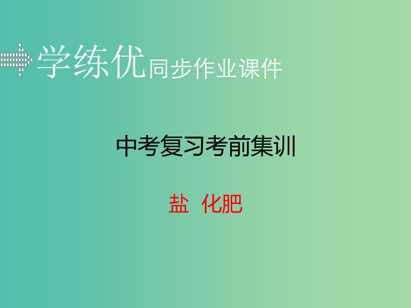 中考化学复习 专题七 盐 化肥（小册子）课件 新人教版.ppt_第1页