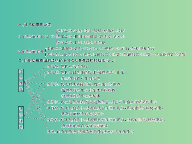 中考生物总复习 第二单元 第一章 细胞是生命活动的基本单位习题课件 新人教版.ppt_第3页