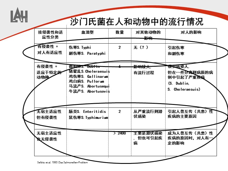 家禽沙门氏菌病的防治.ppt_第3页