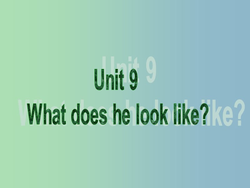 七年级英语下册 Unit 9 What does he look like课件2 （新版）人教新目标版.ppt_第2页