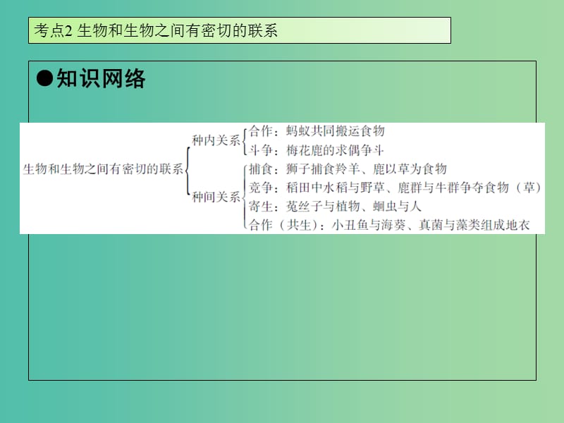 中考生物 第1单元 考点2 生物和生物之间有密切的联系课件 新人教版.ppt_第2页