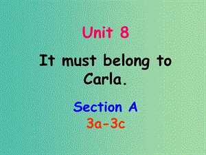 九年级英语全册 Unit 8 It must belong to Carla Section A（3a-3c）课件 （新版）人教新目标版.ppt
