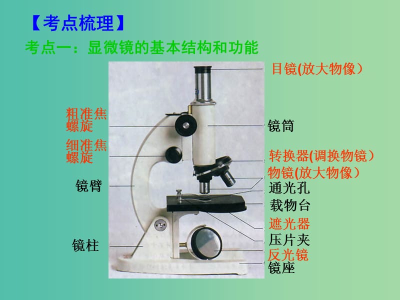 中考生物 考点梳理复习 第二单元 第三章 细胞课件.ppt_第3页