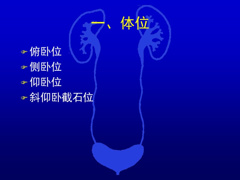 经皮肾镜技术再总结.ppt_第3页