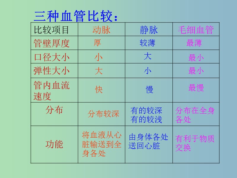 七年级生物下册 10.2 人体内的血液循环（第1课时）课件 （新版）苏教版.ppt_第3页