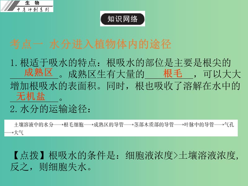 中考生物冲刺复习 基础梳理 第7章 绿色植物与生物圈的水循环课件 新人教版.ppt_第3页