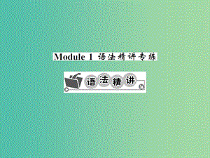 九年级英语下册 Module 1 Travel语法精讲精练课件 （新版）外研版.ppt