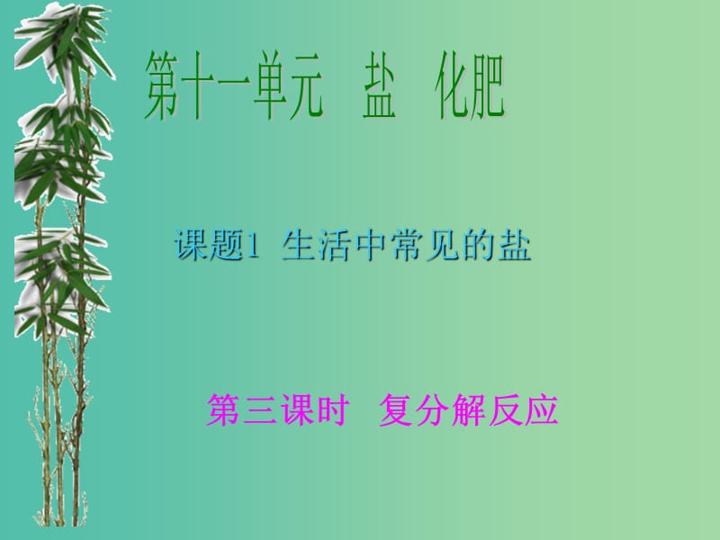 九年级化学下册 11.1 生活中常见的盐课件1 新人教版.ppt_第1页