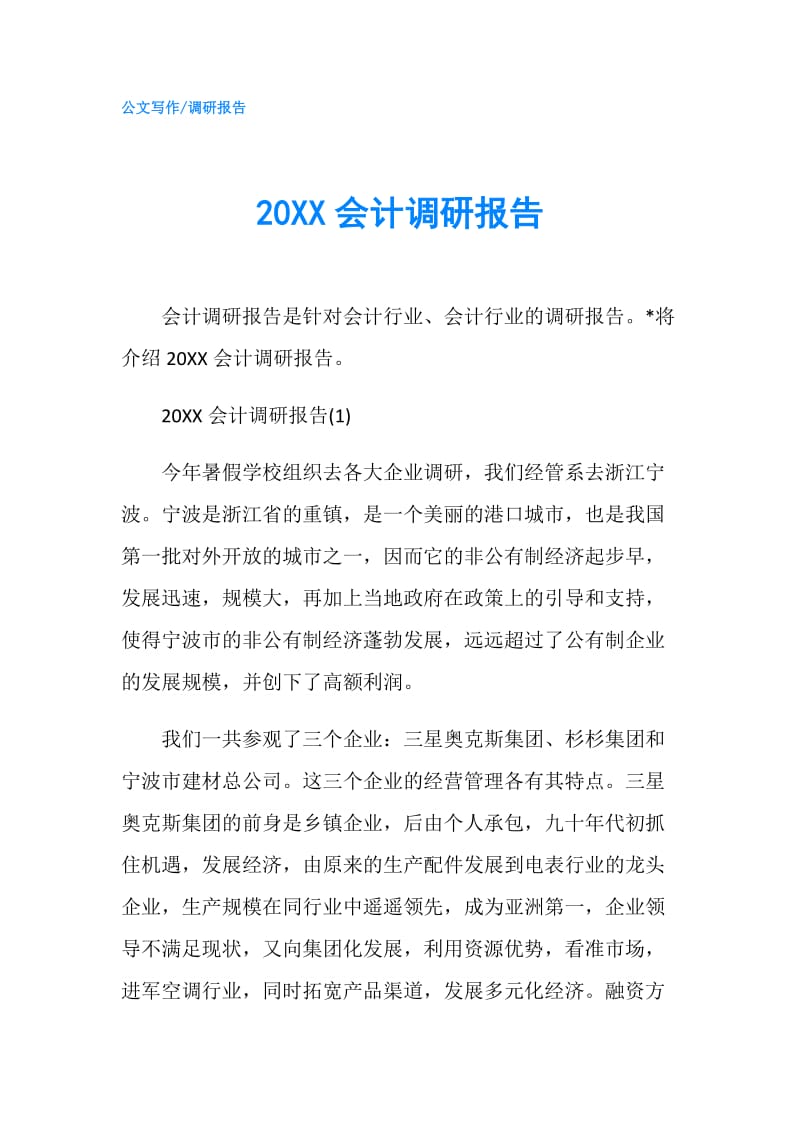 20XX会计调研报告.doc_第1页