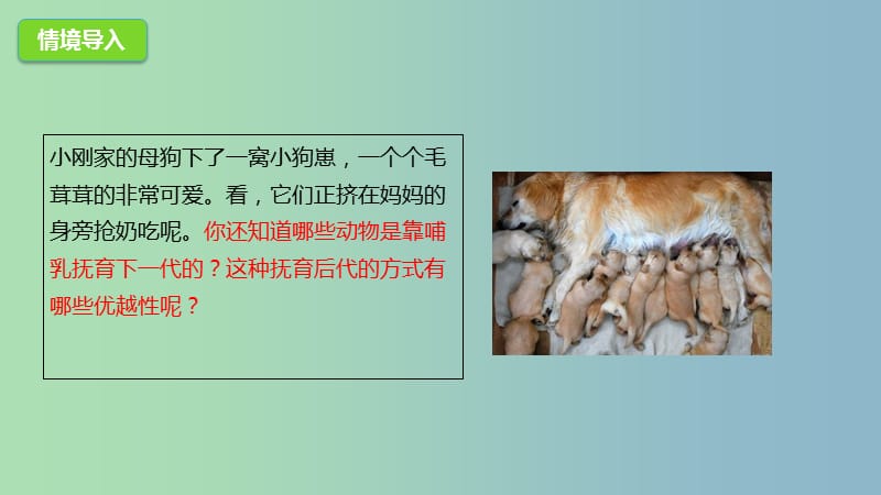 七年级生物上册2.2.2脊椎动物的主要类群课件3新版济南版.ppt_第2页