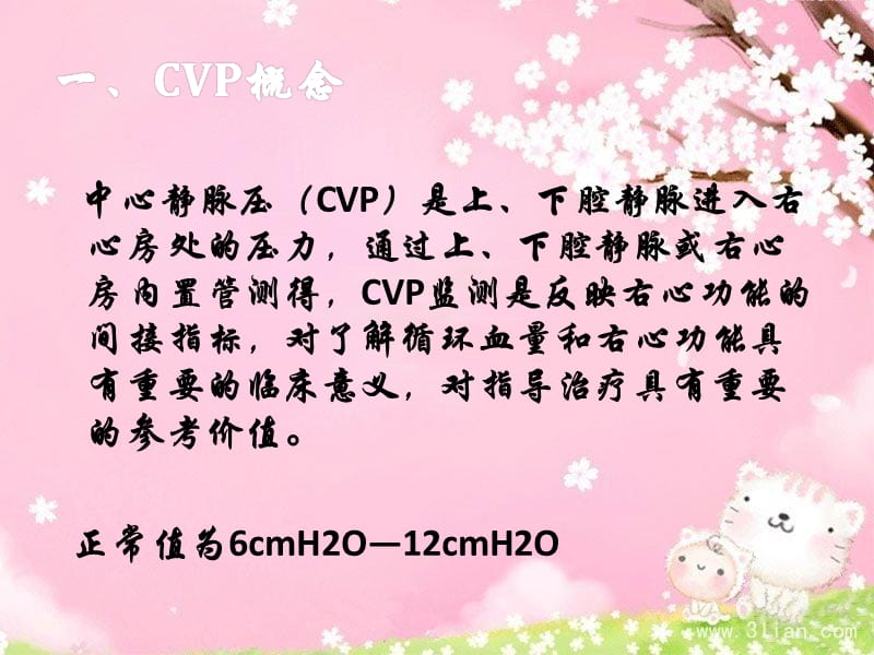 中心静脉压的测量.ppt_第3页