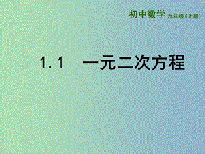 九年級數(shù)學(xué)上冊 1.1 一元二次方程課件 （新版）蘇科版.ppt