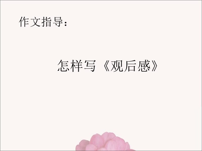 作文指导《观后感》PPT.ppt_第1页