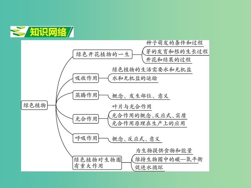 中考生物 第二部分 重点专题突破 专题四 生物圈中的绿色植物复习课件 苏教版.ppt_第2页