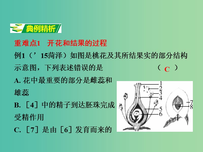 中考生物 第二部分 重点专题突破 专题四 生物圈中的绿色植物复习课件 苏教版.ppt_第3页