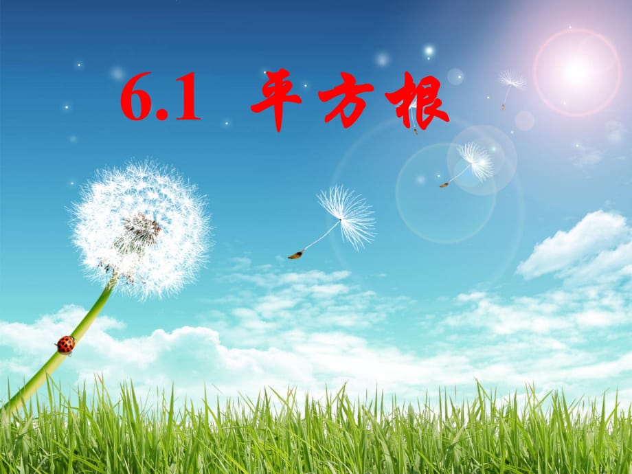 七年級(jí)數(shù)學(xué)下冊(cè)《6.1 平方根》課件3 （新版）新人教版.ppt_第1頁(yè)