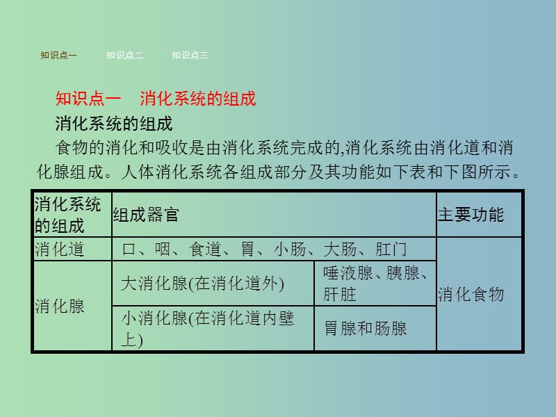 七年级生物下册3.1.2消化和吸收课件新版济南版.ppt_第2页