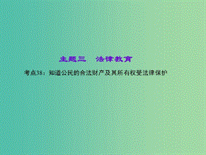 中考政治 知識盤查三 法律教育 考點38 知道公民的合法財產及其所有權受法律保護課件 新人教版.ppt