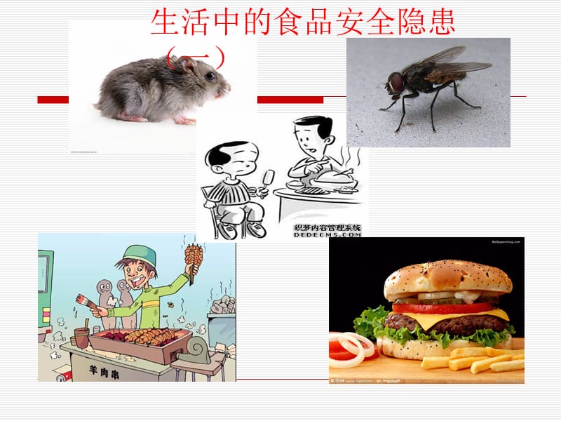 食品安全ppt课件.ppt_第3页