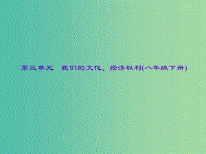 中考政治總復(fù)習(xí) 主題二 法律教育 第三單元 我們的文化、經(jīng)濟(jì)權(quán)利（八下）課件 新人教版.ppt