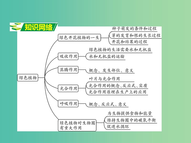 中考生物 重点专题突破 专题四 生物圈中的绿色植物复习课件.ppt_第2页