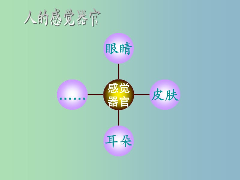 七年级生物下册《第十二章 第三节 人体感知信息》课件 苏教版.ppt_第2页