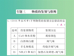 中考化學第二輪復習 專題訓練 提升能力 專題三 物質的鑒別與推斷練習課件 新人教版.ppt