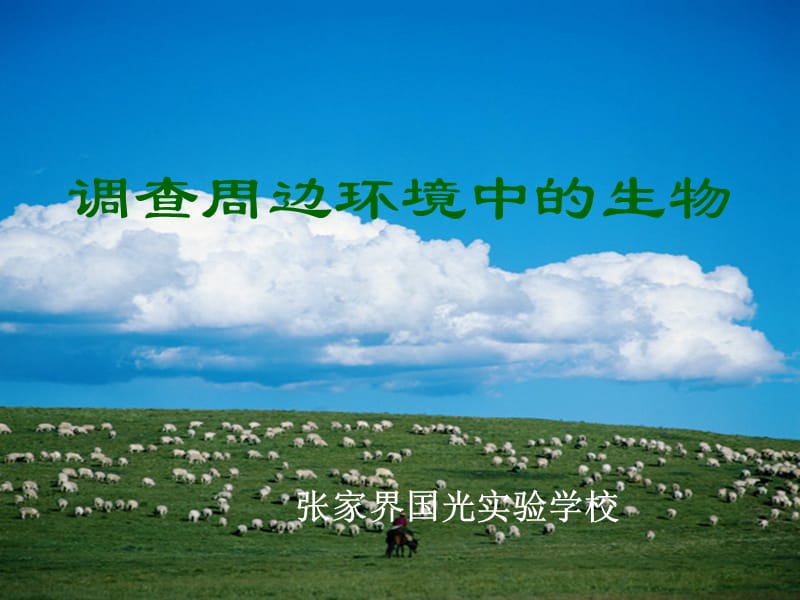 调查周边环境中的生物.ppt_第1页