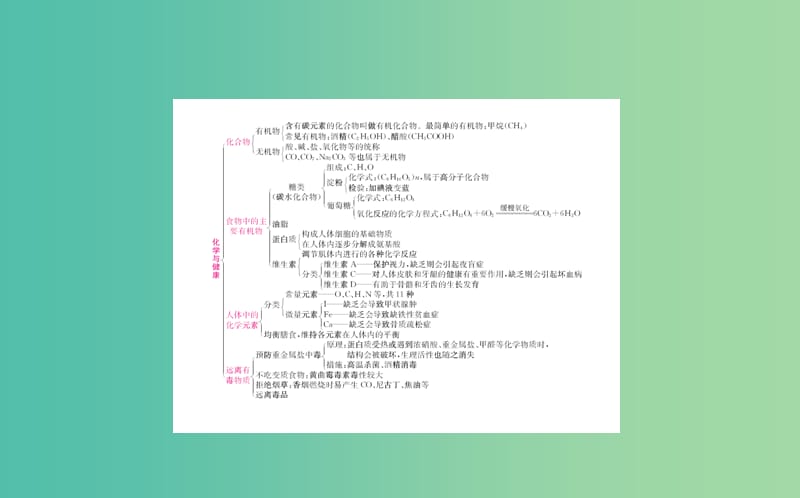 中考化学专题复习十六 化学与健康课件.ppt_第2页