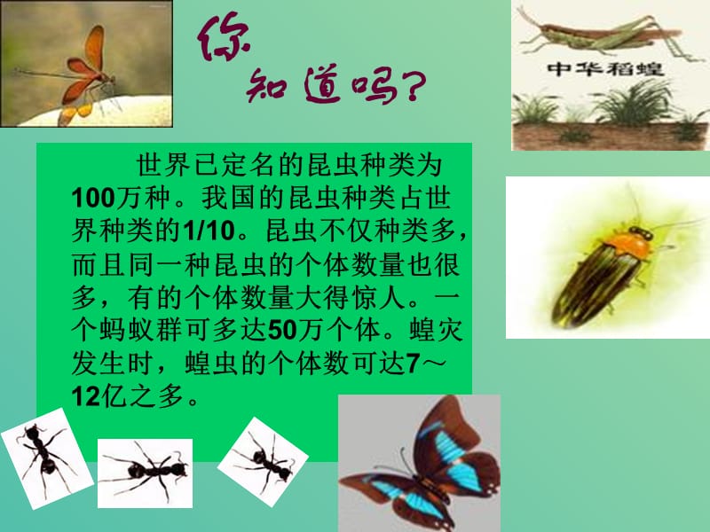 八年级生物下册 7.1.2 昆虫的生殖和发育课件（1）（新版）新人教版.ppt_第1页