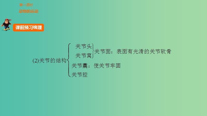 中考生物 第五单元 第十九章 动物的运动和行为复习课件 新人教版.ppt_第3页