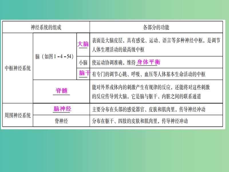 中考生物 第一部分 教材考点同步解析 第四单元 生物圈中的人（第5课时）复习课件 新人教版.ppt_第3页