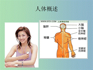 七年級生物下冊 8.3 人體概述課件 蘇教版.ppt