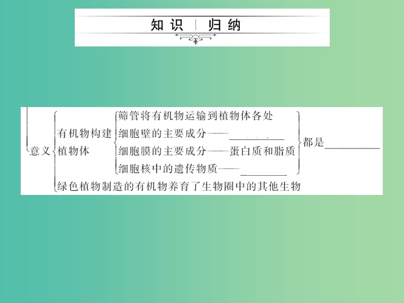 中考生物第一轮系统复习篇 第三单元 第四章 绿色植物是生物圈中有机物的制造者课件.ppt_第3页