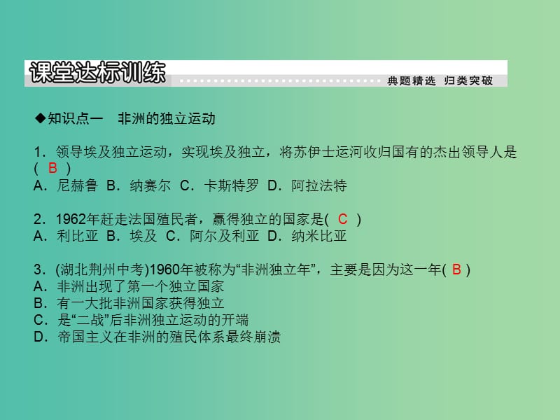 九年级历史下册 第15课 非洲独立运动和拉美国家维护国家权益的斗争课件 岳麓版.ppt_第3页