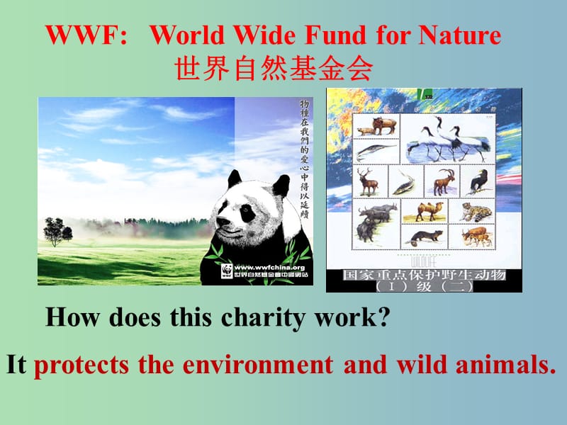 八年级英语下册 Unit 7 International Charities comic课件 （新版）牛津版.ppt_第2页