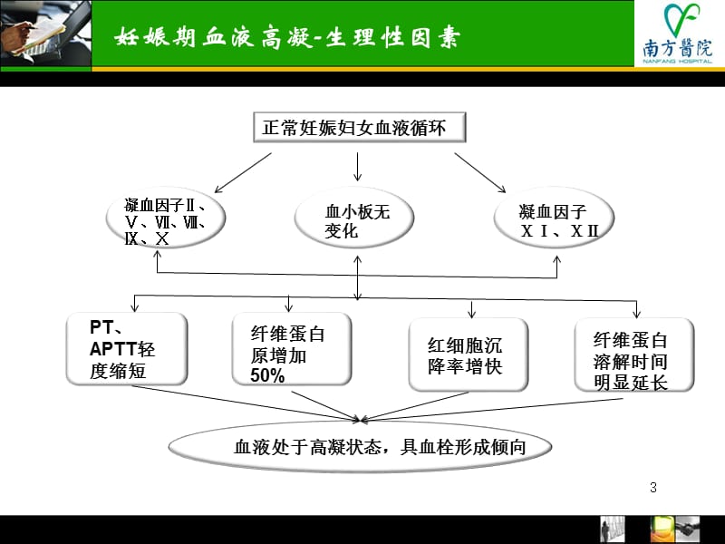 低分子肝素在产科的应用.ppt_第3页