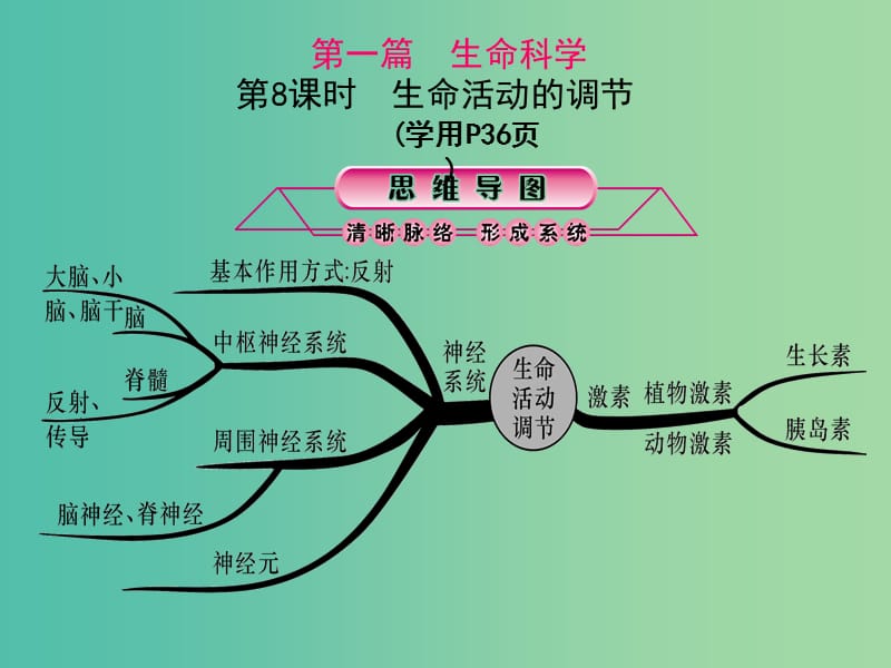 中考科学总复习 第8课时 生命活动的调节课件.ppt_第1页