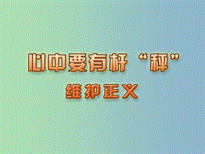 八年級政治下冊 11.2 維護正義課件 蘇教版.ppt