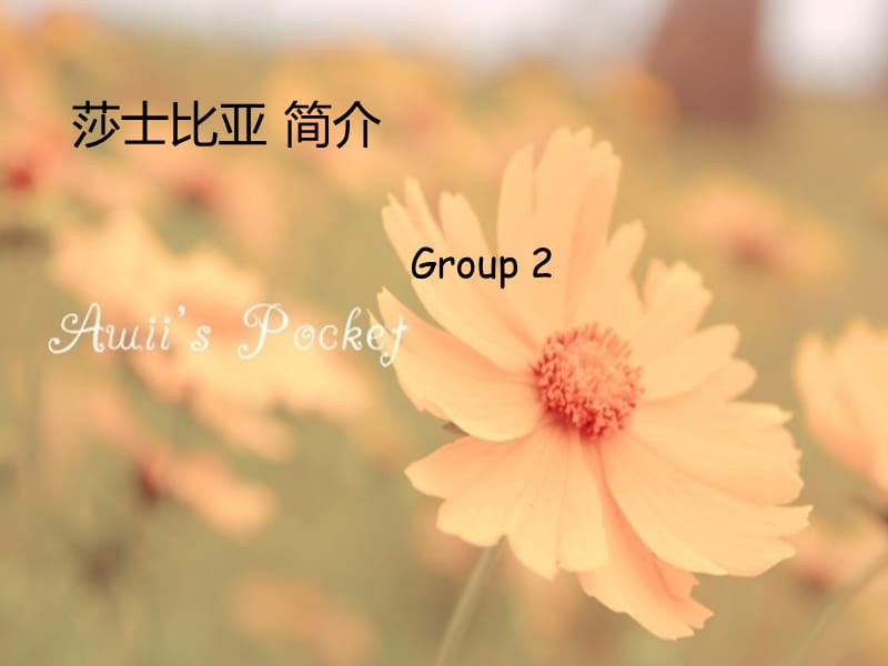 莎士比亚个人介绍.ppt_第1页