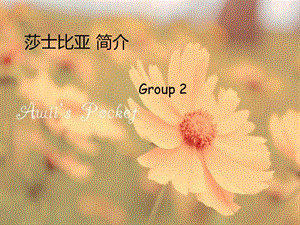 莎士比亞個(gè)人介紹.ppt