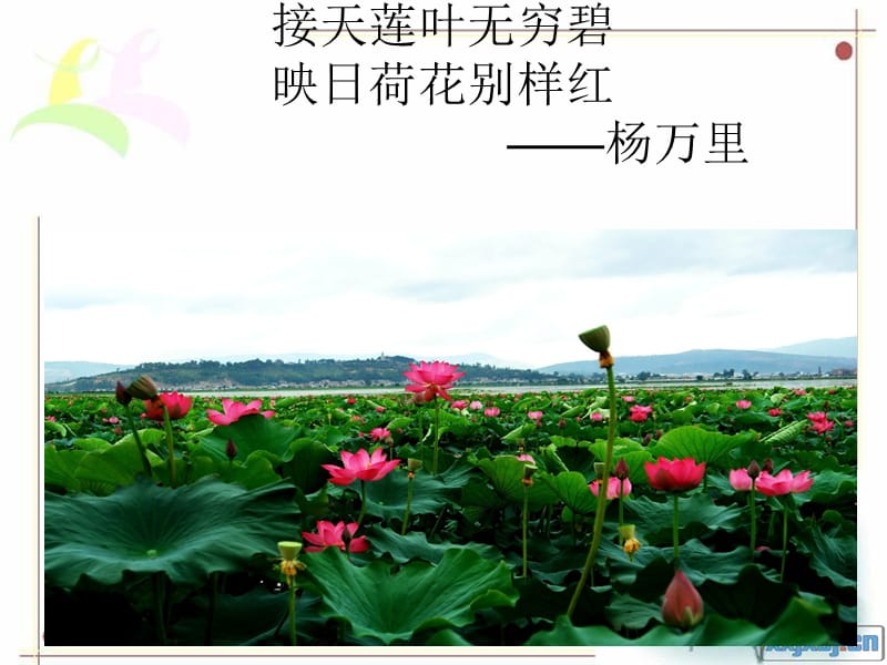 《江南的冬景》PPT课件.ppt_第3页